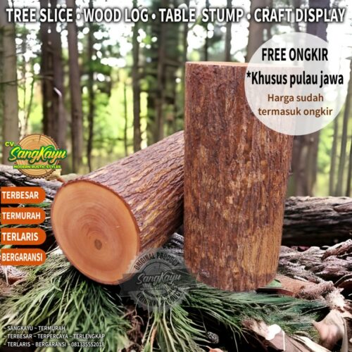 fada83d4-639f-4f73-a659-949cf80cacd8 Meja kayu bulat side table bedside table kursi log meja sudut rustic 01 FREE ONGKIR SEPULAU JAWA